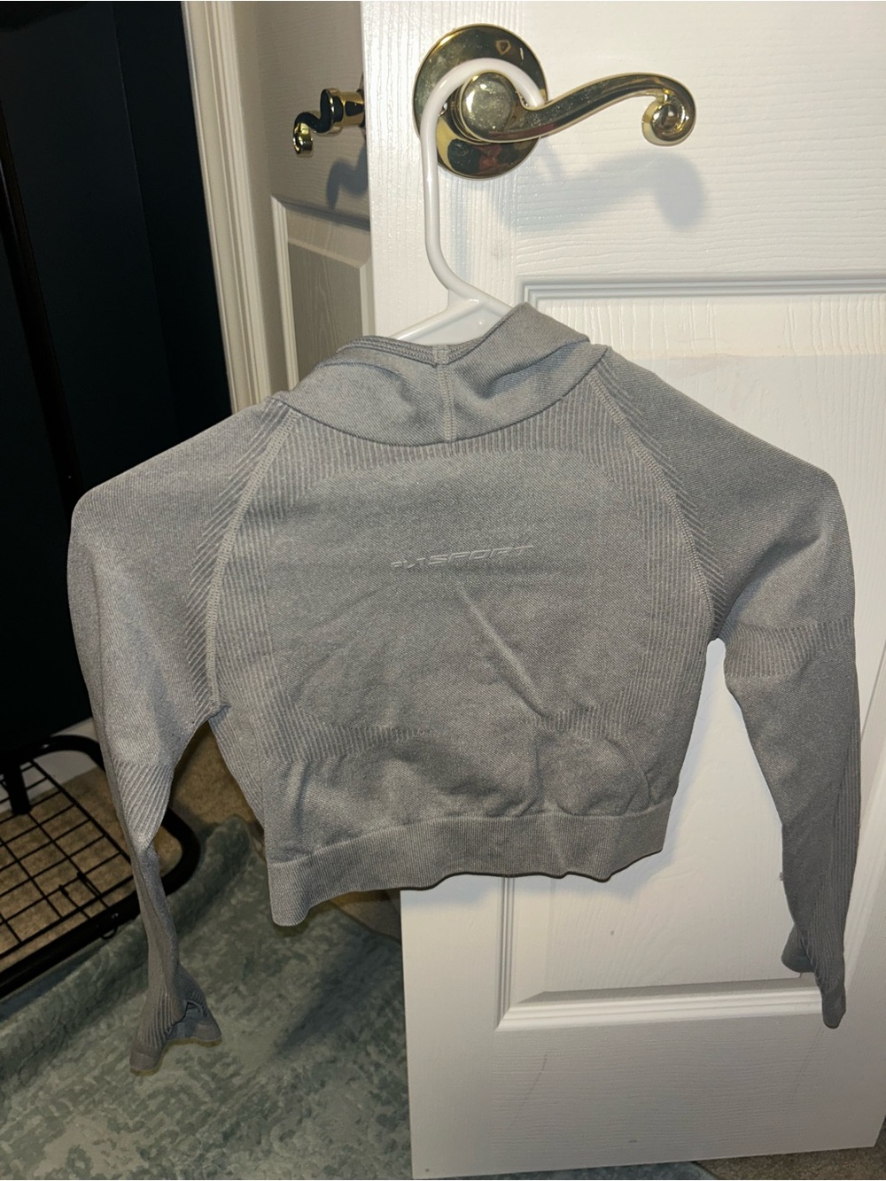 Light Gray Cropped Athletic Hoodie